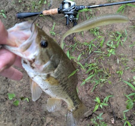 雷の合間に釣り