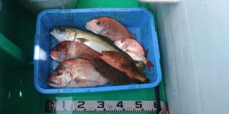 泉州丸　釣果