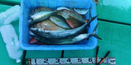 泉州丸 釣果