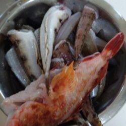 真夏のキス釣り修行