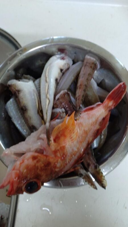 真夏のキス釣り修行