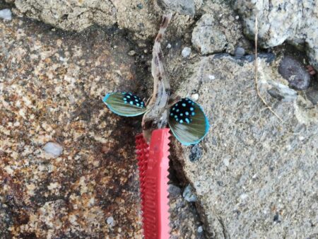 ちょい投げ
