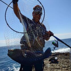 和歌山市江(吉丸渡船)でグレ釣り