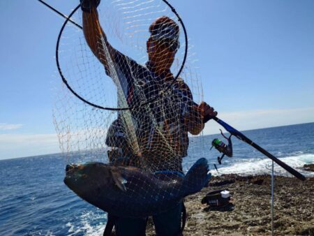 和歌山市江(吉丸渡船)でグレ釣り