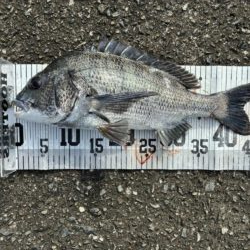 イチノ兄弟、釣果！