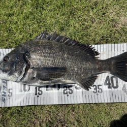イチノ兄弟、釣果！