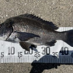 イチノ兄弟、釣果！