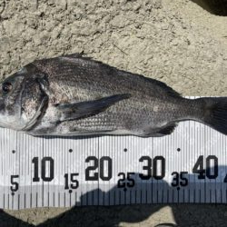 イチノ兄弟、釣果！
