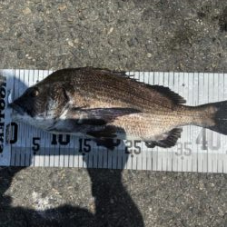 イチノ兄弟、釣果！