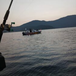 琵琶湖で琵琶マストローリング