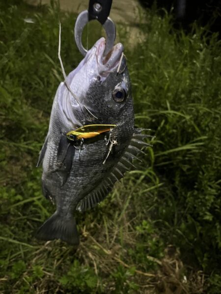 大分川　釣行