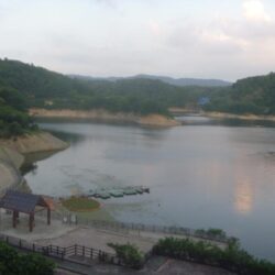 夕方バス
