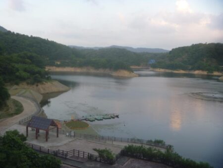 夕方バス