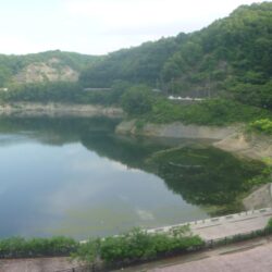 待望の雨・・・
