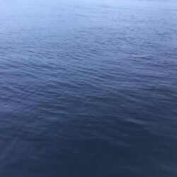アジタコ