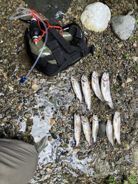 増水＆雨天