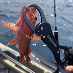 夏のジギング