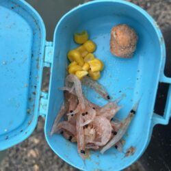 穴水町フカセ釣り