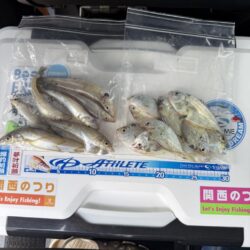 シロギス釣り