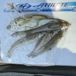 シロギス釣り