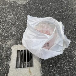 清掃活動：雨が降る前にカラバリとサビキ