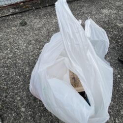 清掃活動：雨のあいまにサビキ