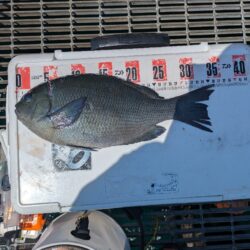 価値ある一匹！