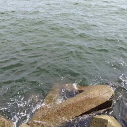 なかなか釣果が上がらず