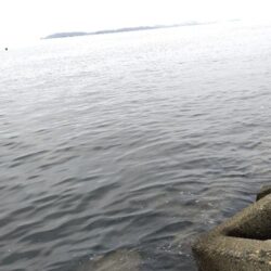 釣りあるある