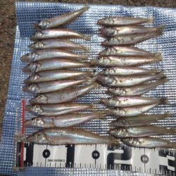 遠投投げ釣り