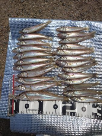 遠投投げ釣り