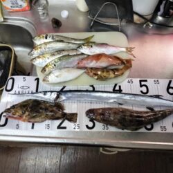 ５目釣り