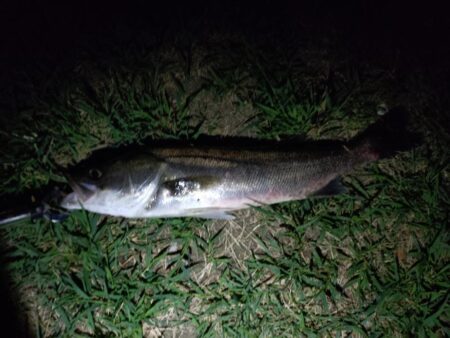2日連続釣行