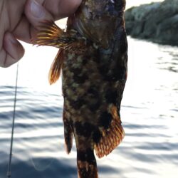 久々の釣り