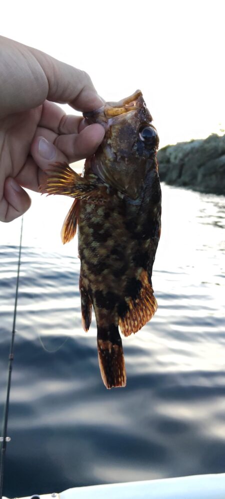 久々の釣り