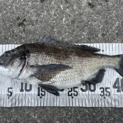 イチノ兄弟、釣果！