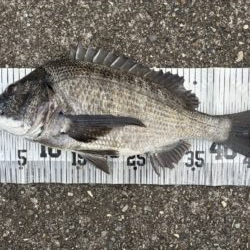 イチノ兄弟、釣果！