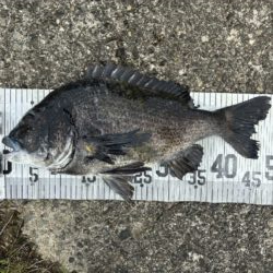 イチノ兄弟、釣果！