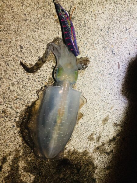 二刀流
