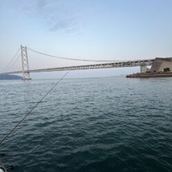 アジは好調、成長中