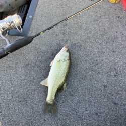 ひさびさの琵琶湖