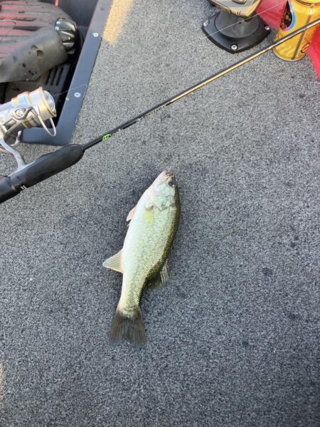 ひさびさの琵琶湖