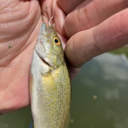 夏休み釣行2日目