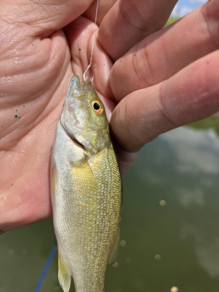 夏休み釣行2日目