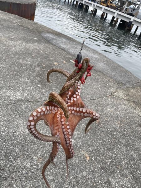 今シーズン最大でもキロ無し