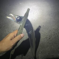 渋いです