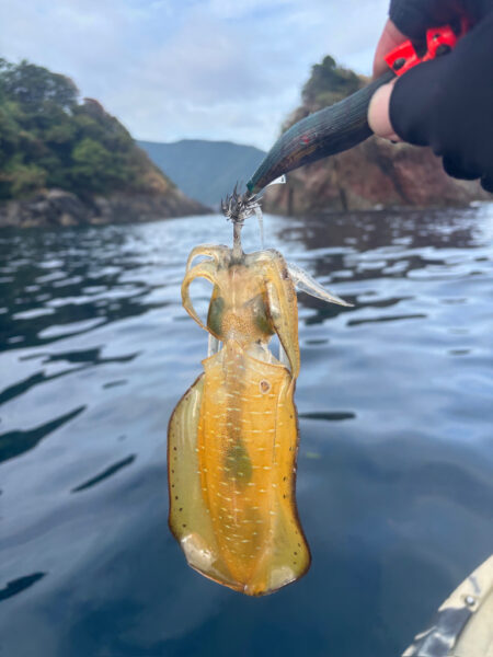 カヤックフィッシング