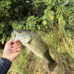 暑さに負けず釣行