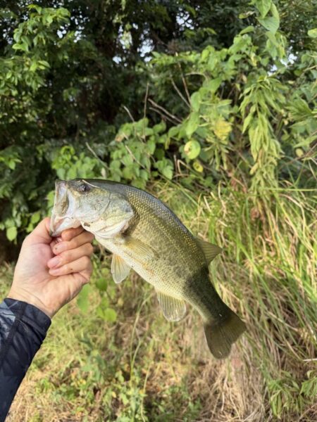 暑さに負けず釣行