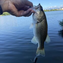 よく釣れたよ😁